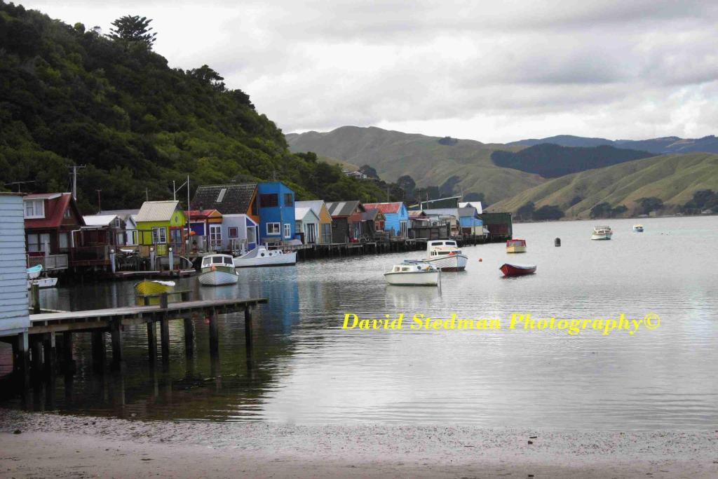 AAA Mana Motel Porirua Esterno foto